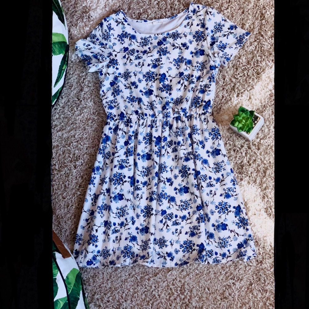 Fit and flare white dress with blue floral design
